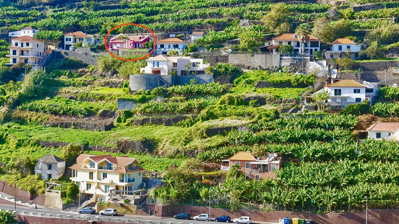 Pink House Lägenhet Ponta do Sol  Exteriör bild